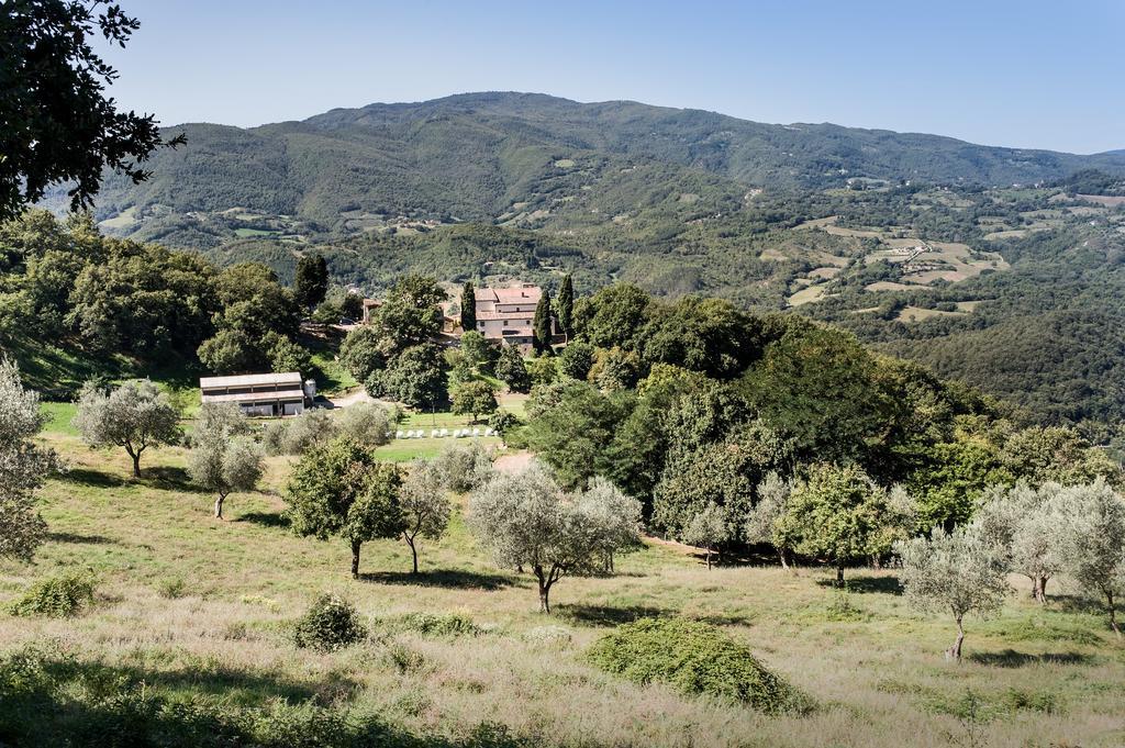 Agriturismo Di Baroni Enzo Dicomano Екстер'єр фото
