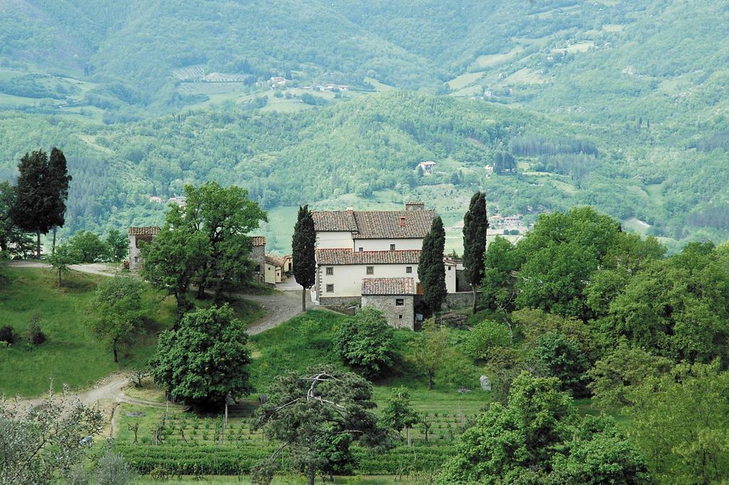 Agriturismo Di Baroni Enzo Dicomano Екстер'єр фото